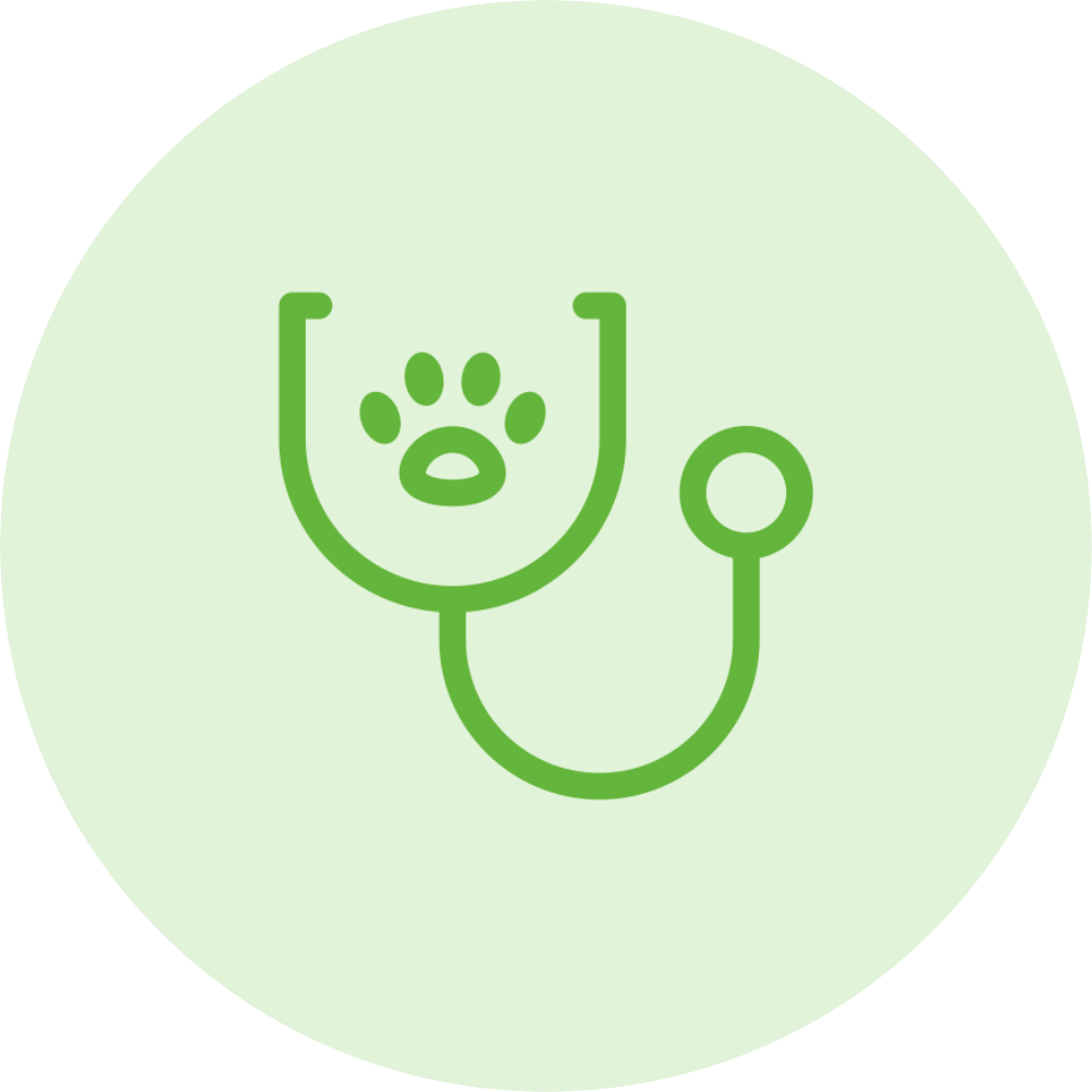 Veterinarios a Domicilio para tus Mascotas